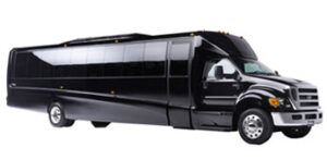 black mni bus